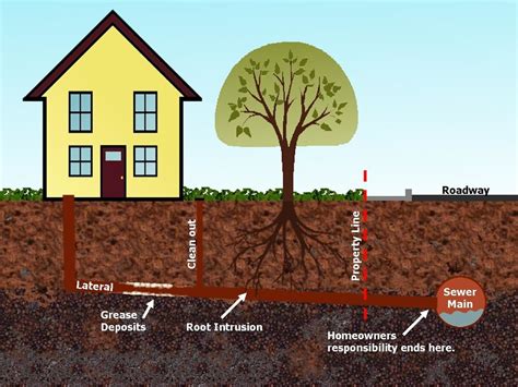Here's what you need to know. Homeowner Sewer Responsibilities