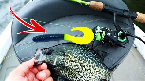 How To Find Crappie With This Lure In The Spring Best Crappie Baits