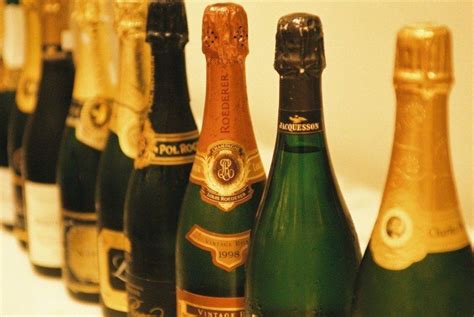 A Beginners Guide To Champagne By Champagne Jane Champagne Beginners Gin Tasting