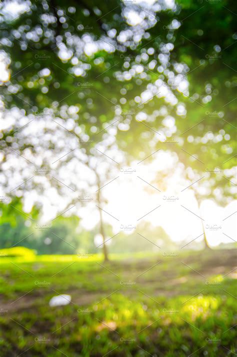 blurred nature background | High-Quality Abstract Stock Photos