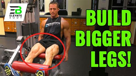 How To Build Bigger Legs For Beginners Leg Workouts For Mass Youtube