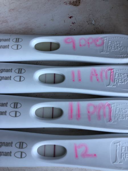 Progression Lines On Pregnancy Tests Mumsnet