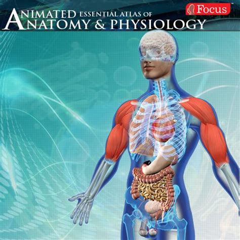 Anatomy And Physiology Animated For Android Medical App