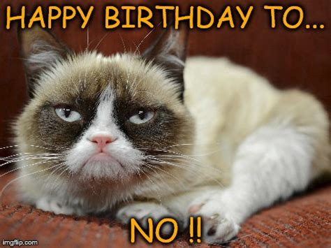 Grumpy Cat Happy Birthday It S Meme Cats