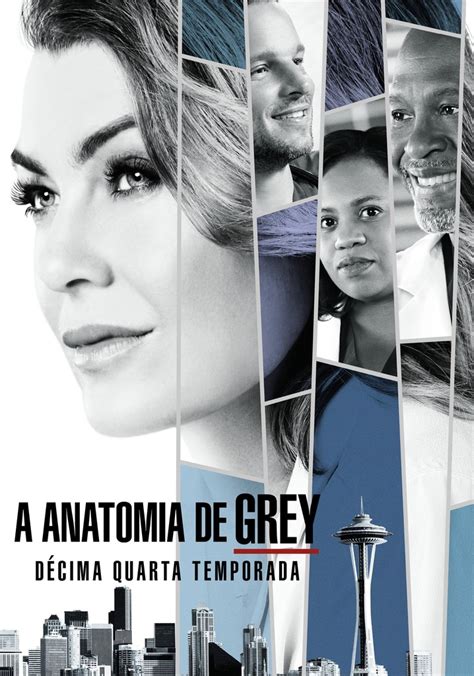 Anatomia de Grey Temporada 14 assista episódios online streaming