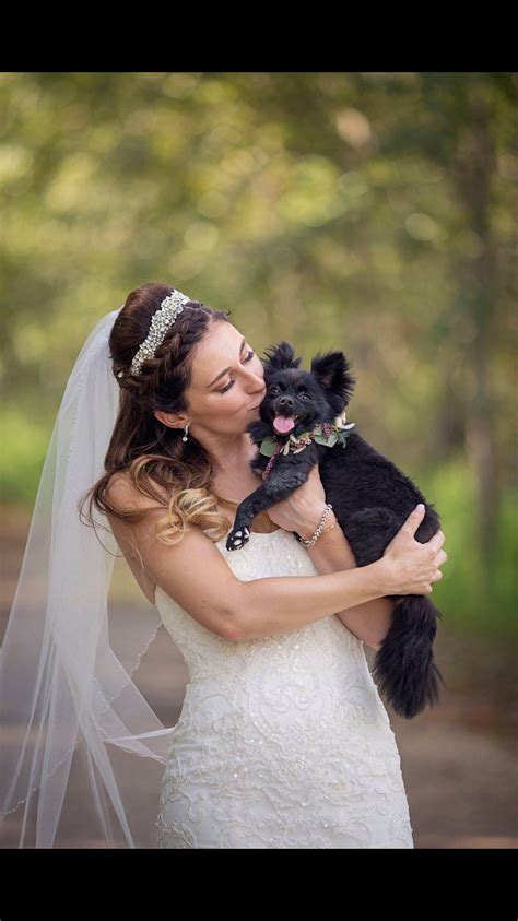 A Girl And Her Pooch Love Forevers ️ Lace Wedding Wedding Dresses Lace Pooch Wedding Stuff