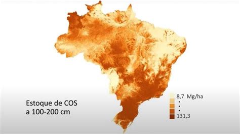 Novos Mapas De Estoque De Carbono Dos Solos V O Subsidiar Pol Ticas P Blicas De Sustentabilidade