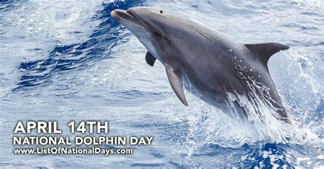 National Dolphin Day List Of National Days