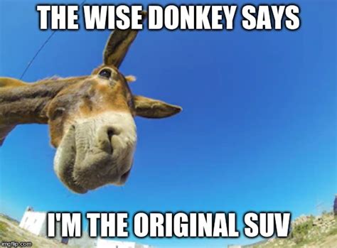 Wise Donkey Says Memes Imgflip