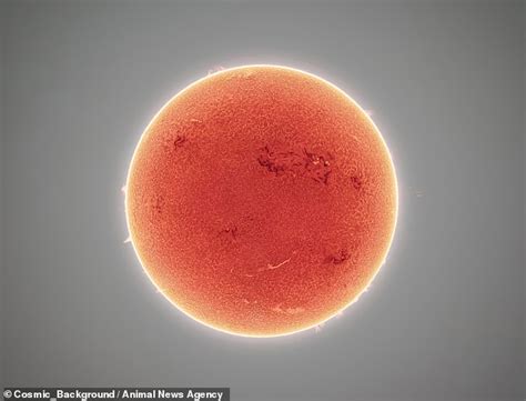 Astrophotographer Captures Swirling Plasma On The Surface Of The Sun In Amazing High Res Image