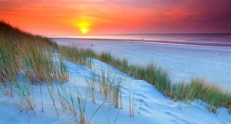 Nature Landscape Sunset Netherlands Beach Sand Dune Sea Purple