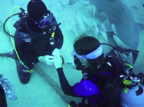 Watch Sharks For Guests At This Bizarre Undersea Engagement
