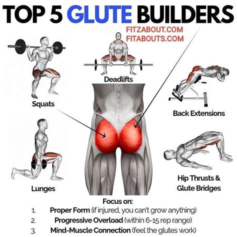 This muscle is the largest of the gluteal group. what are the best exercises you can do to get your glute ...
