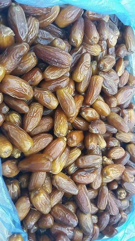 Buy Dates Deglet Noor From Sarlsouth Valley Algeria