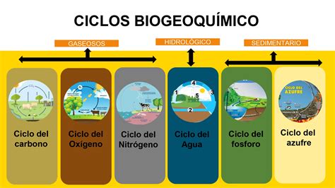 Los Ciclos Biogeoquímicos Ciclo Del Agua