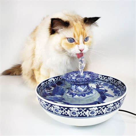 Sippin Pretty Modern Cat In 2021 Cat Water Fountain Cat Fountain