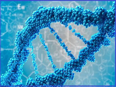 Program of cbse class 12 syllabus, as you know very well that the central board of secondary education (cbse) has its curriculum. CBSE Sample Paper for Class 12 Biotechnology Board Exam ...