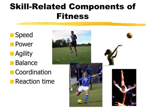 Ppt Basic Principles Of Physical Fitness Powerpoint Presentation