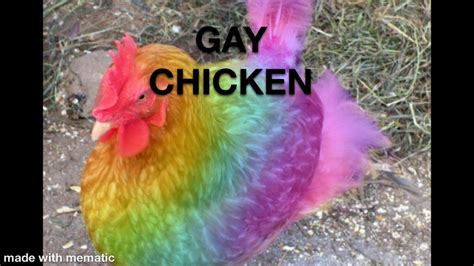 What Is Gay Chicken Chickenfoodie