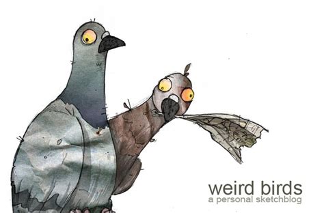 weird birds march