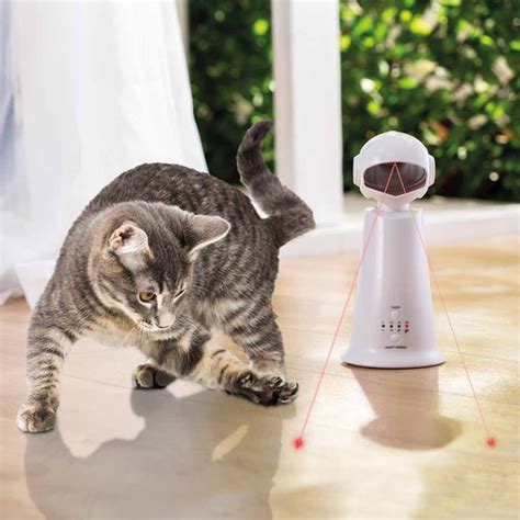 Interactive Cat Laser Toy Telegraph Shop