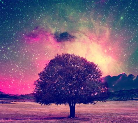 Landscape Abstract Colors Field Galaxy Tree Hd Wallpaper Peakpx