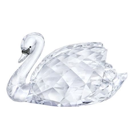 Swarovski Crystal Large Swan Ts From Dipples Uk
