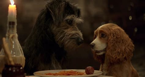 ‘lady And The Tramp’ Reboot Debuts First Trailer Watch Now 2019 D23 Expo Justin Theroux