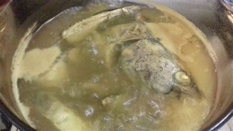 Ikan aya hitam sememangnya ikan yang unik. Resepi Pemancing : Singgang Ikan Aya Set Kelauk - Umpan