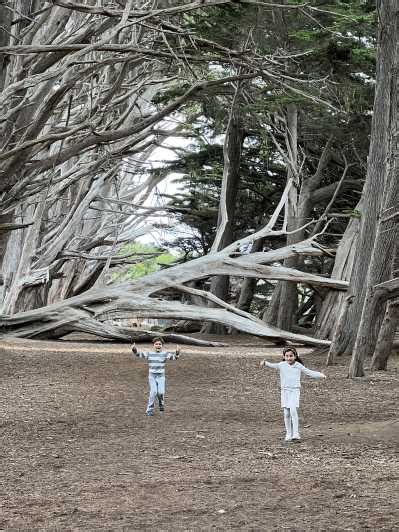 San Fran Carmel Monterey Et Big Sur Excursion Privée Dune Journée