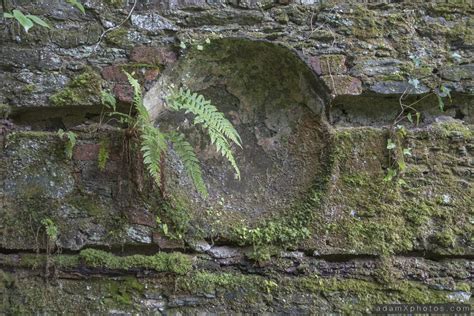 Explore 54 Baron Hill Estate Beaumaris Wales May 2014 Adam X