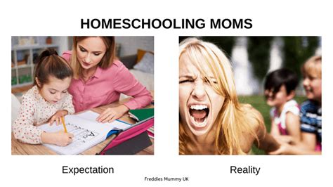 15 Funniest Homeschool Memes For Homeschool Moms