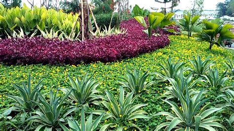 Jika tanaman yang ada di taman rumah anda ditanam dengan media pot, anda harus menyiramnya dengan benar. Contoh TAMAN MINIMALIS | Taman, Taman bunga, Bunga