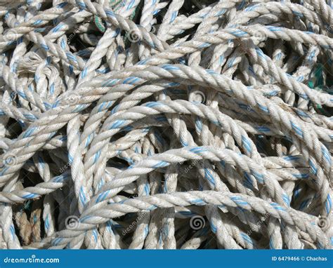 Jumble Of Ropes Stock Photo Image Of Outdoor Flexibility 6479466