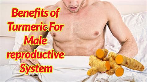 5 Benefits Of Turmeric For Male Reproductive System Turmeric Benefits Youtube