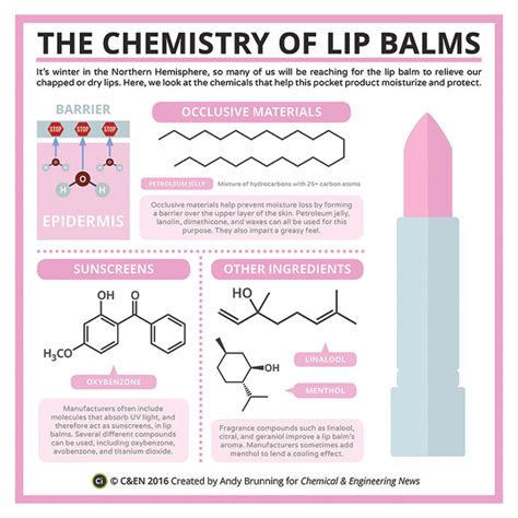 This Is An Infographic Describing The Chemistry Of Lip Balm My Xxx
