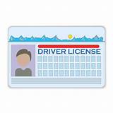 Apply For Arizona Drivers License Photos