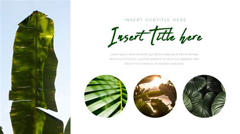 Botanical Powerpoint Templates For Presentation