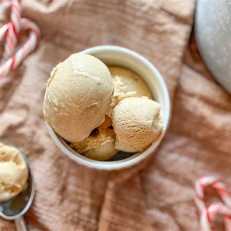 Discovernet Gingerbread Ice Cream Recipe