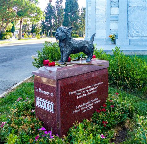 Hollywood forever, cemetery, mortuary & cultural event center in the heart of hollywood, offers cremation, funeral & memorial services. Toto Memorial In Hollywood Forever Cemetery - Garden Of ...