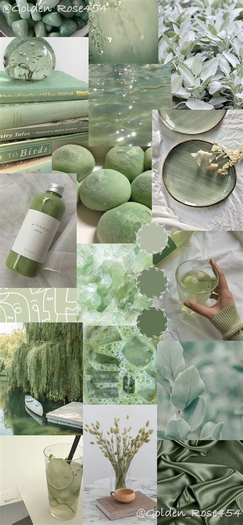 Sage Wallpaper in 2021 | Sage green wallpaper, Iphone wallpaper green
