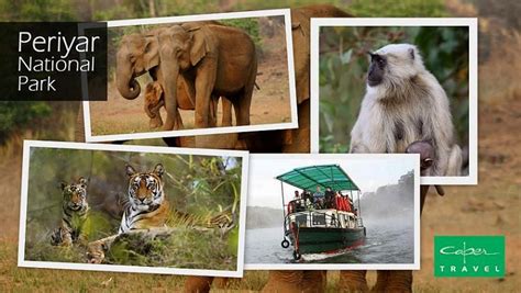 The Periyar National Park Is An Amazing Wildlife Park In Kerala