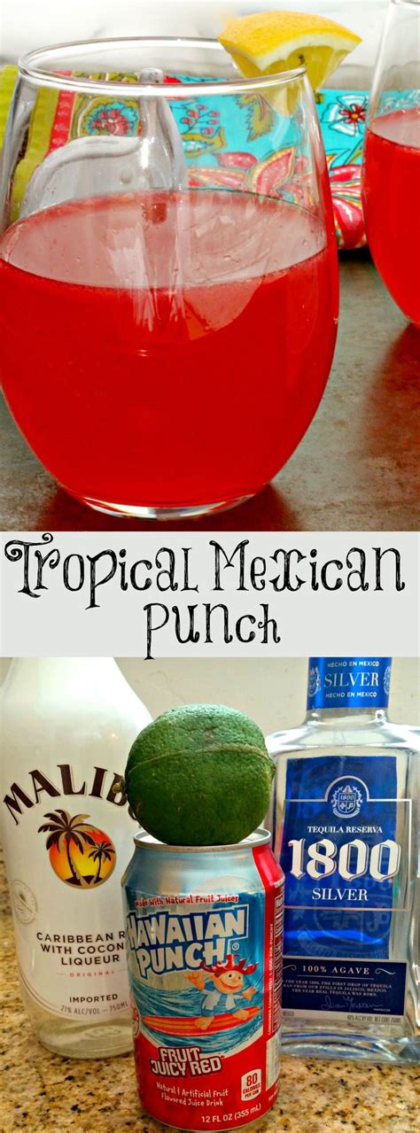 25 best ideas about fruity mixed. Tropical Mexican Punch ~ A fruity adult beverage that transports you to a Mexican beach. ~ The ...