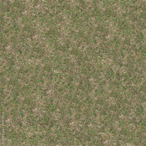 Seamless Grass Texture Map
