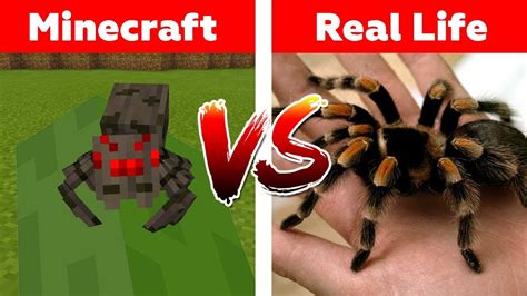 What this is is a competition to see which. MINECRAFT MOBS IN REAL LIFE! Minecraft Pocket Edition ...