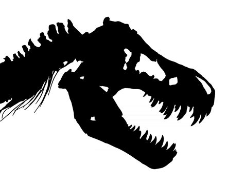 Skeleton Of Tyrannosaurus Rex T Rex Skull And Neck Vector 2617582