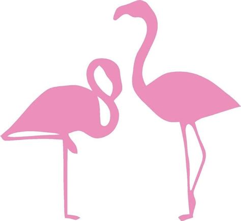 Flamingos Wall Decal Flamingo Pictures Wall Decor Stickers Vinyl
