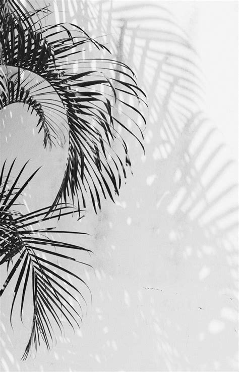 Background black white flower cute aesthetic pen daisy drawing>. Cute Black and White Aesthetic Wallpapers - Top Free Cute Black and White Aesthetic Backgrounds ...