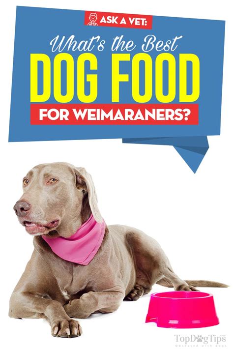They are the second best sellers of dog food in country. Best Dog Food for Weimaraner: 9 Vet Recommended Brands
