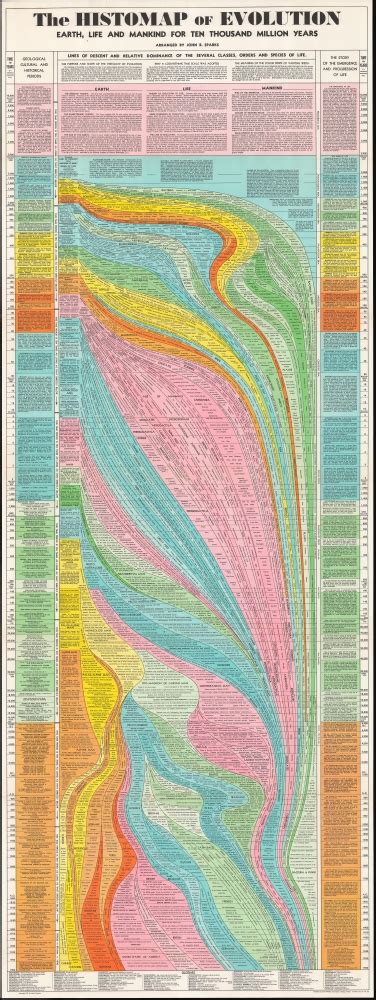 The Histomap Of Evolution Earth Life And Mankind For Ten Thousand